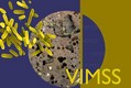 Virtual Institute for Microbial Stress and Survival